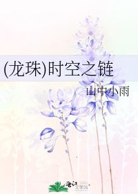 (龙珠)时空之链