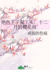 绝色王子倔丫头：十二月的樱花雨
